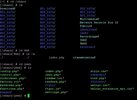 2.webp