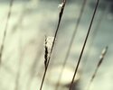 qtsbg004.webp