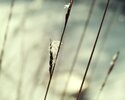 qtsbg004_hires.webp