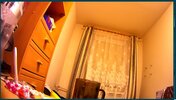 stary_soft_dzien.webp