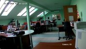 dzien.webp