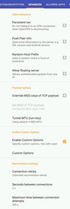 Screenshot_20220703-231057_OpenVPN for Android.webp