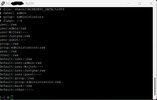 putty2.webp