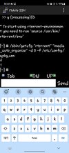 Screenshot_20230803_222249_Mobile SSH.webp