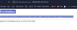 403 Forbidden – Opera.webp