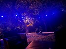 IMG_1940.jpeg
