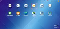 worm_windows_001.webp