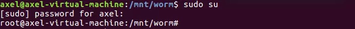 worm_linux_020.webp