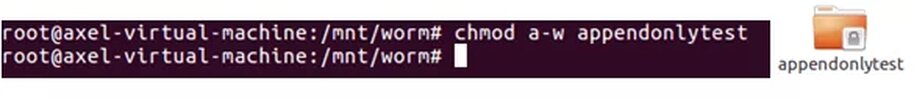 worm_linux_024.webp