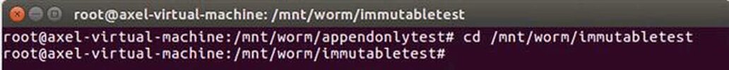 worm_linux_028.webp