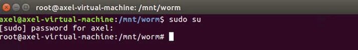 worm_linux_035.webp