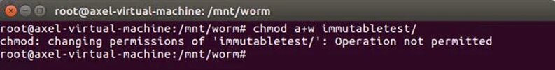 worm_linux_037.webp