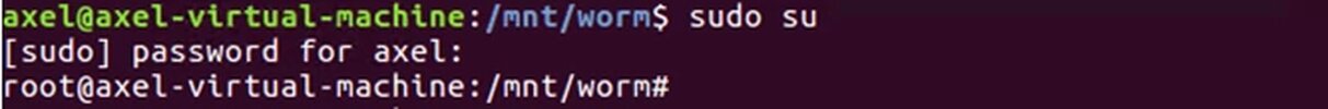 worm_linux_038.webp