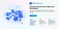 001-hdp-for-business-landing-page.webp
