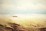 qtsbg009.webp