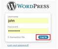 WordPress_11.webp