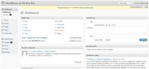 WordPress_12.webp