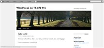 WordPress_13.webp
