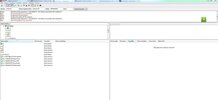 4.webp