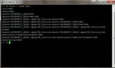1.webp