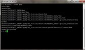 1.webp