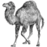 Perl