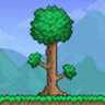 Terraria Server