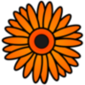 Gerbera (MUSL)