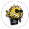 OpenSSH Server